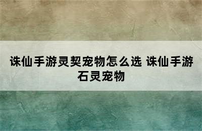 诛仙手游灵契宠物怎么选 诛仙手游石灵宠物